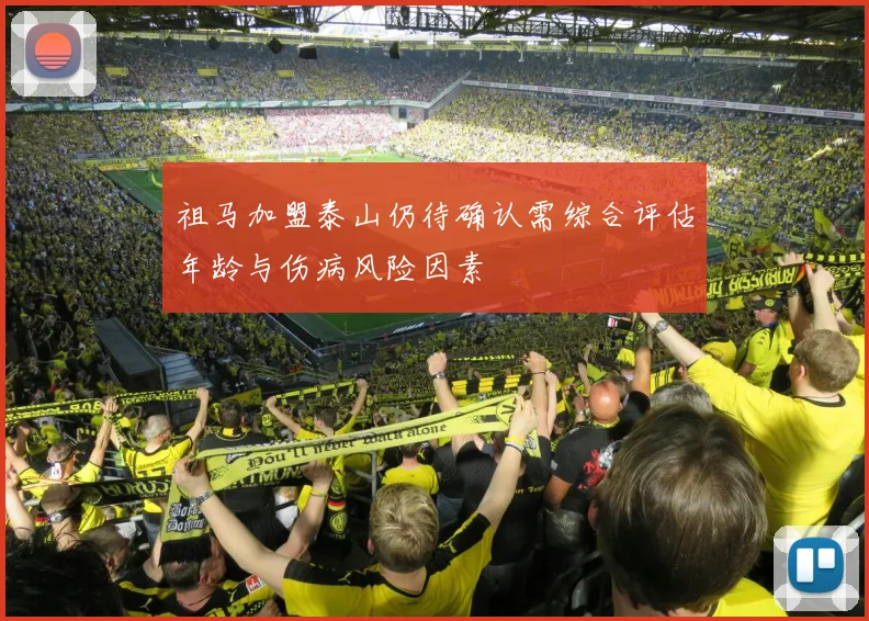 祖马加盟泰山仍待确认需综合评估年龄与伤病风险因素