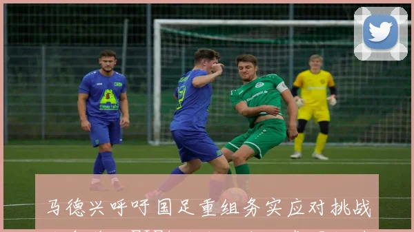 马德兴呼吁国足重组务实应对挑战力争稳住FIFA排名防止被泰国超越