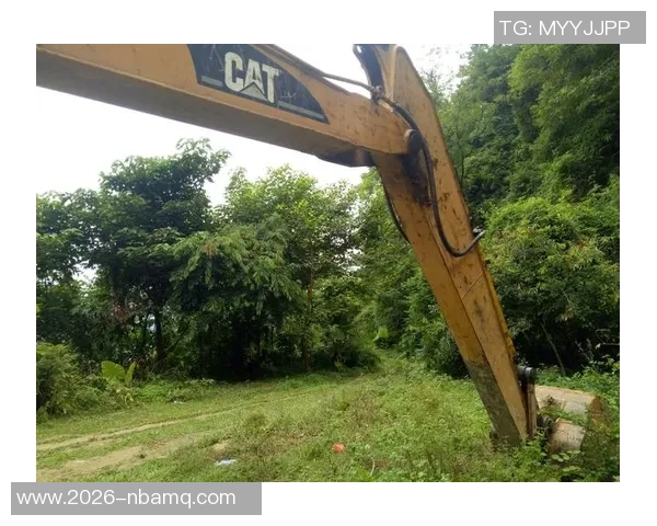 都灵希望之星遭遇重伤缺阵719天身价从2500万跌至仅剩250万